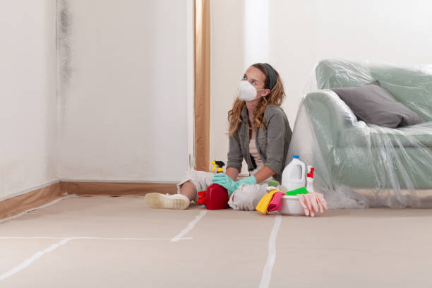 Reliable Mold Remediation contractor in Everett, WA by Car Mold Remediation